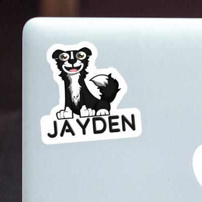 Jayden Sticker Border Collie Gift package Image