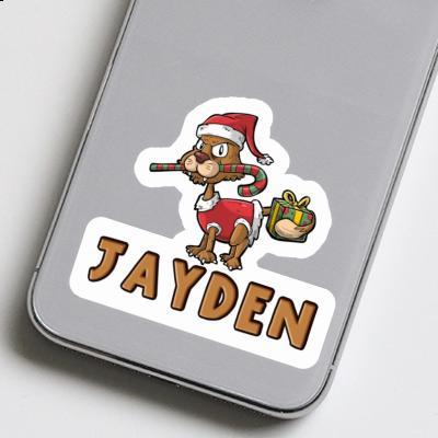 Jayden Aufkleber Weihnachtskatze Gift package Image