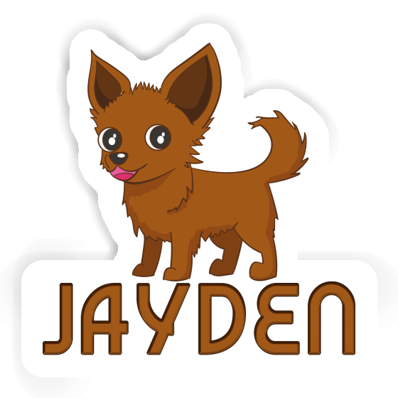 Sticker Jayden Chihuahua Laptop Image