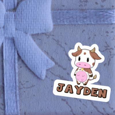 Jayden Autocollant Vache Gift package Image