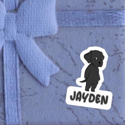 Autocollant Labrador Jayden Laptop Image