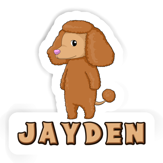 Autocollant Jayden Caniche Gift package Image