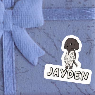 Autocollant Jayden Petit Münsterländer Gift package Image