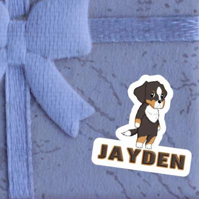 Sticker Jayden Berner Sennenhund Laptop Image