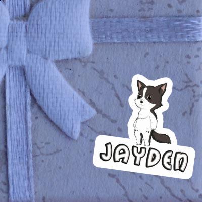 Jayden Autocollant Collie border Notebook Image