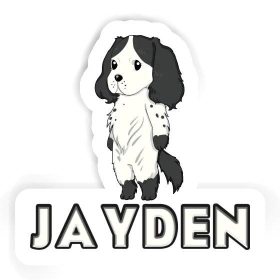 Autocollant Jayden Cocker anglais Gift package Image