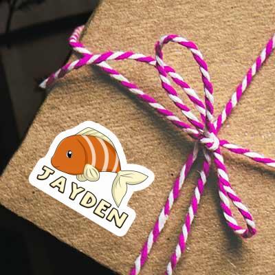 Poisson Autocollant Jayden Gift package Image