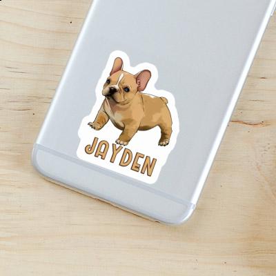 Autocollant Bouledogue Jayden Laptop Image