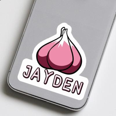 Jayden Sticker Garlic clove Laptop Image