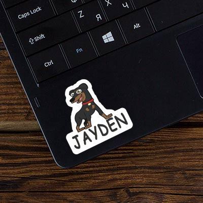 Pinscher Sticker Jayden Laptop Image