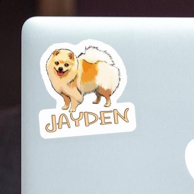 Autocollant Spitz allemand Jayden Image