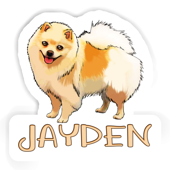 Autocollant Spitz allemand Jayden Gift package Image