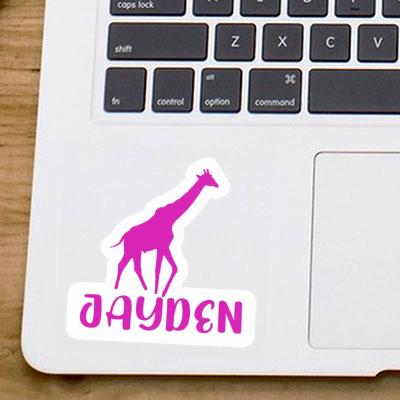 Jayden Sticker Giraffe Gift package Image