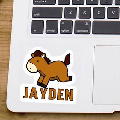 Jayden Aufkleber Pferd Laptop Image