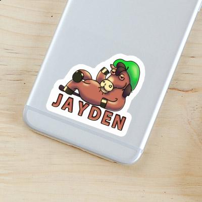 Jayden Sticker Pferd Gift package Image