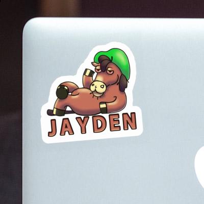 Jayden Sticker Pferd Gift package Image