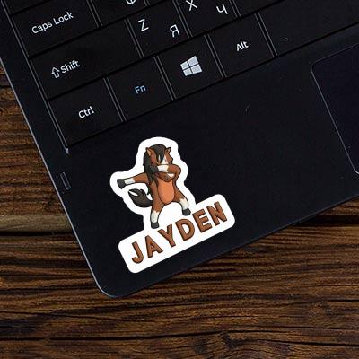 Sticker Pferd Jayden Gift package Image