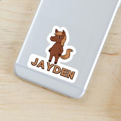 Sticker Horse Jayden Gift package Image