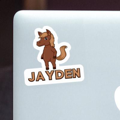 Sticker Horse Jayden Gift package Image