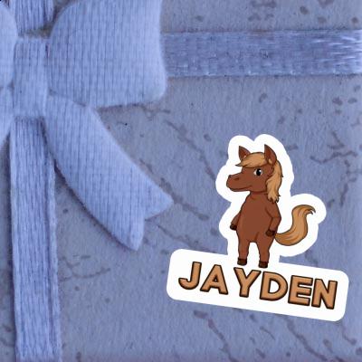 Sticker Horse Jayden Gift package Image