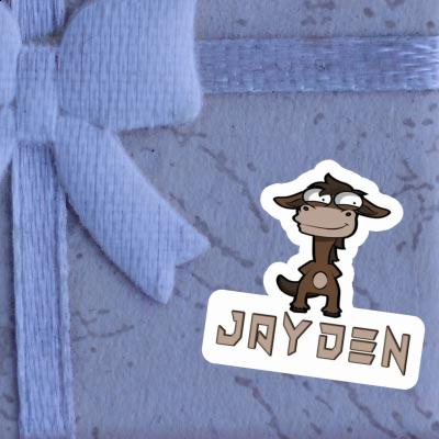 Jayden Sticker Horse Laptop Image