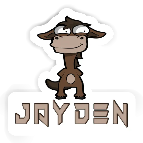 Jayden Sticker Horse Gift package Image