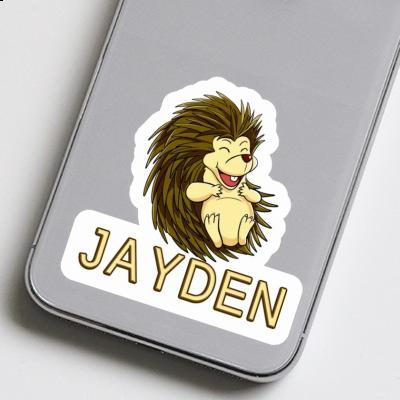 Jayden Sticker Hedgehog Laptop Image