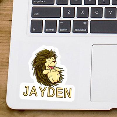 Jayden Sticker Hedgehog Laptop Image