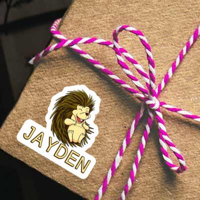 Jayden Sticker Hedgehog Notebook Image