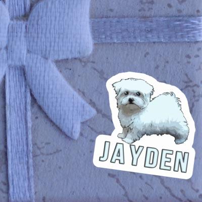 Jayden Autocollant Bichon maltais Gift package Image