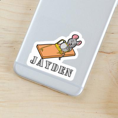 Sticker Jayden Fitness-Maus Gift package Image