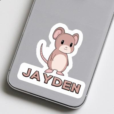 Autocollant Jayden Souris Gift package Image