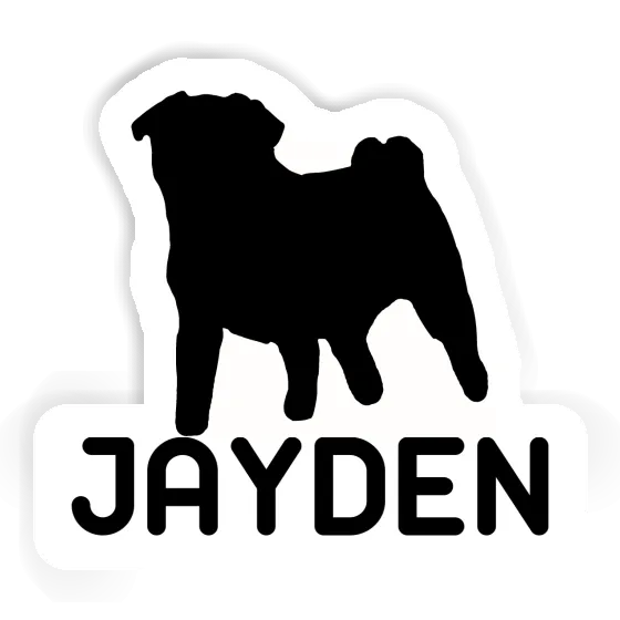 Jayden Sticker Mops Gift package Image