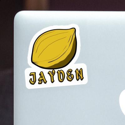 Jayden Sticker Nut Notebook Image