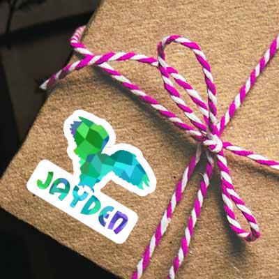 Jayden Sticker Owl Gift package Image