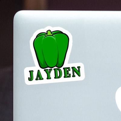 Aufkleber Paprika Jayden Laptop Image