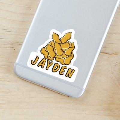 Jayden Sticker Peanut Gift package Image