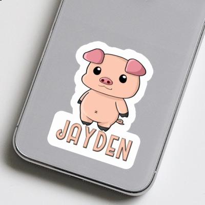 Sticker Jayden Piggy Laptop Image