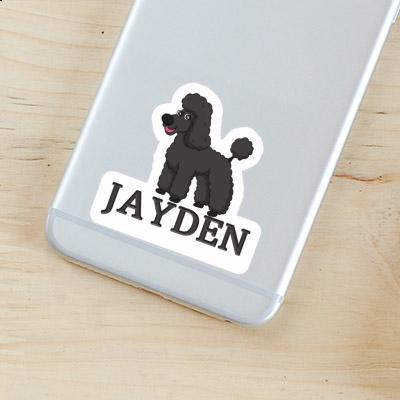 Autocollant Jayden Caniche Gift package Image