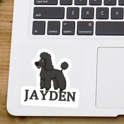 Autocollant Jayden Caniche Gift package Image