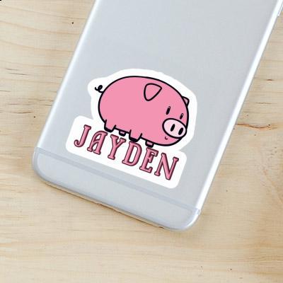 Sticker Jayden Pig Gift package Image