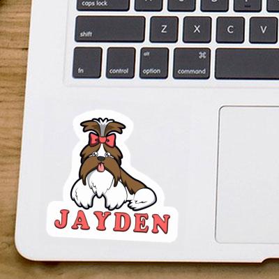 Sticker Jayden Shih Tzu Gift package Image