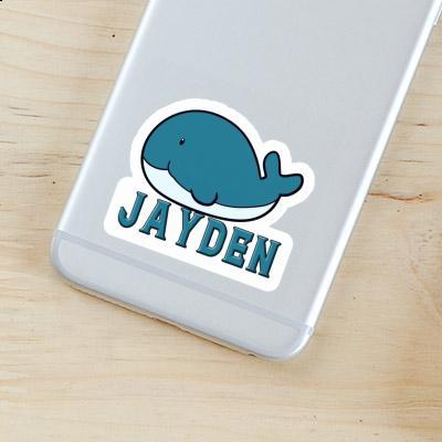 Sticker Whale Jayden Laptop Image