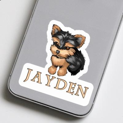 Jayden Autocollant Terrier Gift package Image