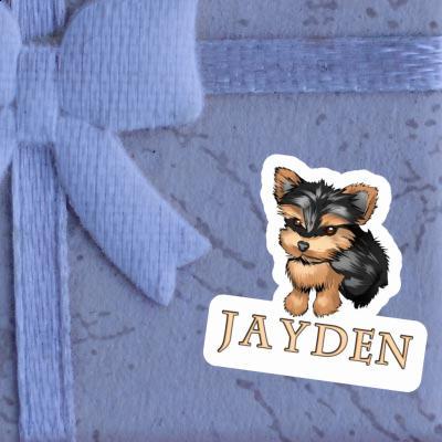 Jayden Sticker Terrier Gift package Image