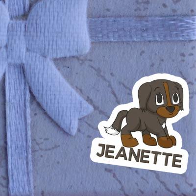 Sticker Bernese Mountain Dog Jeanette Gift package Image