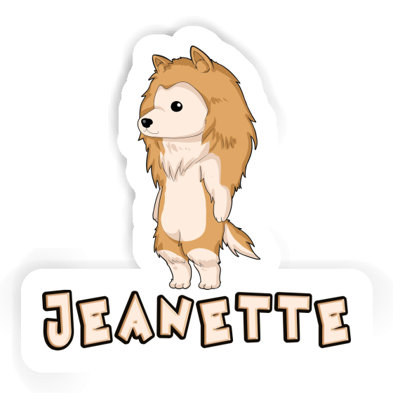 Jeanette Aufkleber Collie Gift package Image