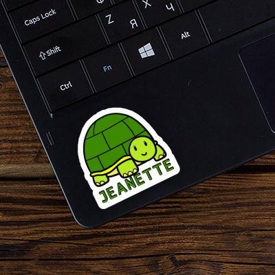 Jeanette Sticker Turtle Gift package Image