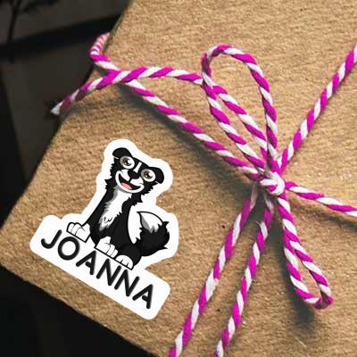 Autocollant Border Collie Joanna Gift package Image