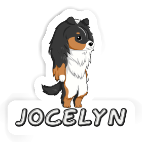 Aufkleber Jocelyn Shetland Sheepdog Image